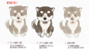 かわいい黒柴のイラスト