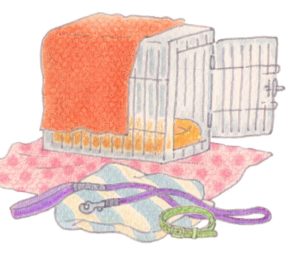 ペット用品のイラスト