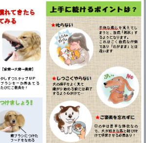 【デジタルセミナー資料掲載】