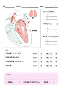 心臓疾患のインフォームシート