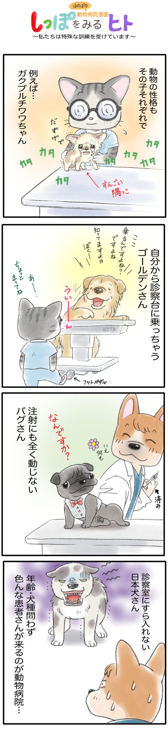 動物病院の4コマ漫画　診察室で怖がるチワワ