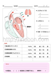心臓のイラストと獣医向けインフォームシート