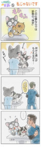 動物病院の日常を描いた４コマ漫画、院長と動物看護師