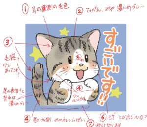 猫のキャラクターイラストのデザイン確認