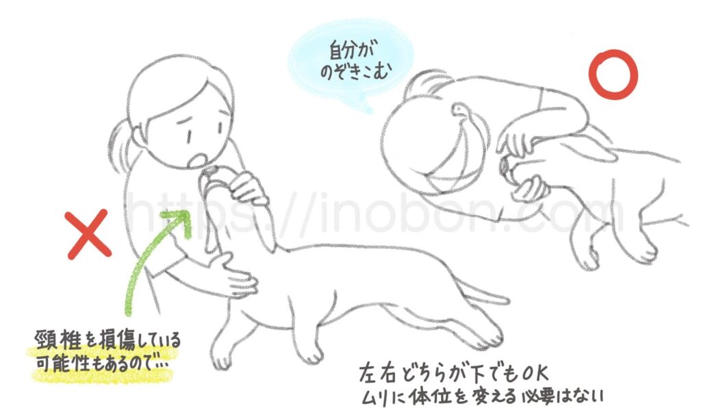 ペット動物の救急対応の解説イラスト