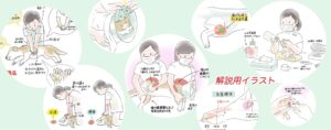 猫の保定法の解説イラスト