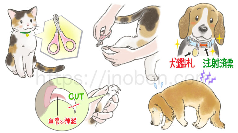 腰が痛い犬と猫の爪切りをするイラスト