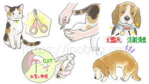 犬や猫の健康管理、カットイラスト