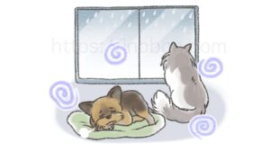 雨の日でジメジメした部屋でしょんぼりした様子の犬とネコ