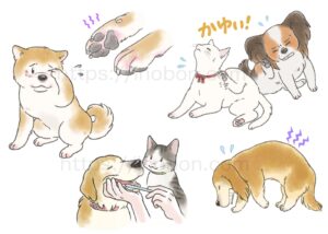 ペットの病気、痒み、痛み、歯みがき