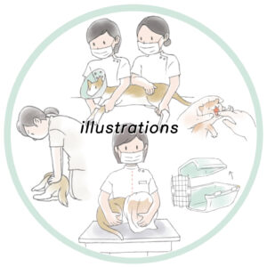動物看護をわかりやすく解説するイラスト