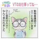 眼鏡をかけた猫のキャラクター