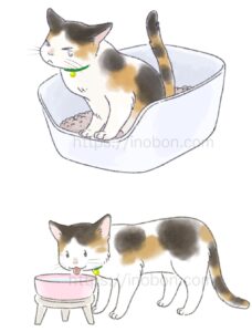 トイレでおしっこをする三毛猫と水を飲む猫