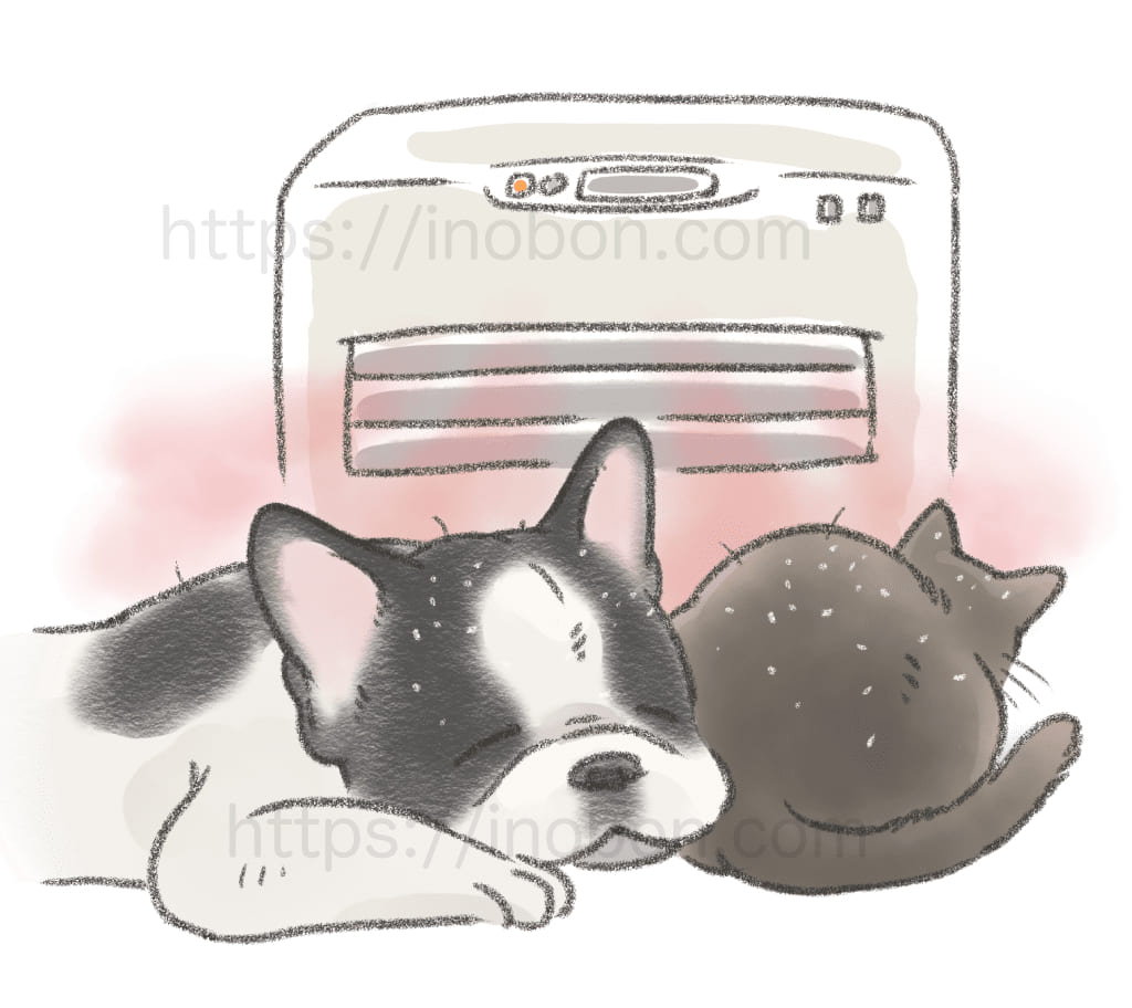ヒーターの近くで眠る犬と猫、乾燥してフケが出ている
