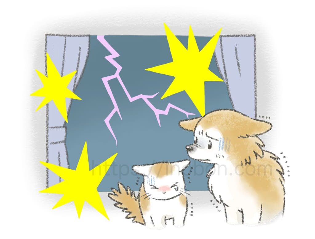 窓の外のカミナリに怯える犬と猫
