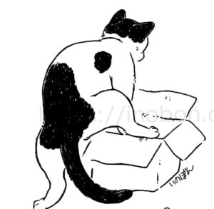 白と黒のブチ柄の猫の後ろ姿