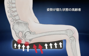 背骨と骨盤、座った姿勢の骨格