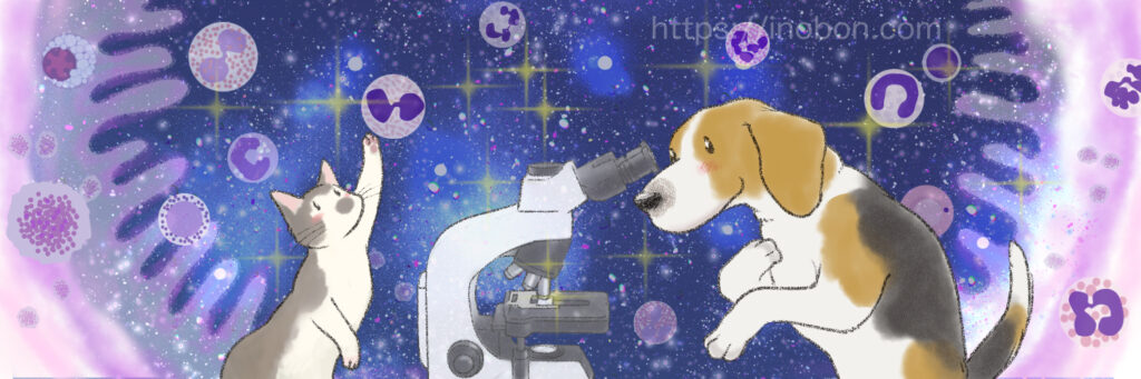 小宇宙のような夜空の星空を破池にした犬のイラスト