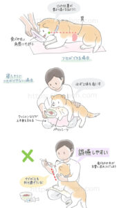 シニア犬の食事介助について解説したイラスト