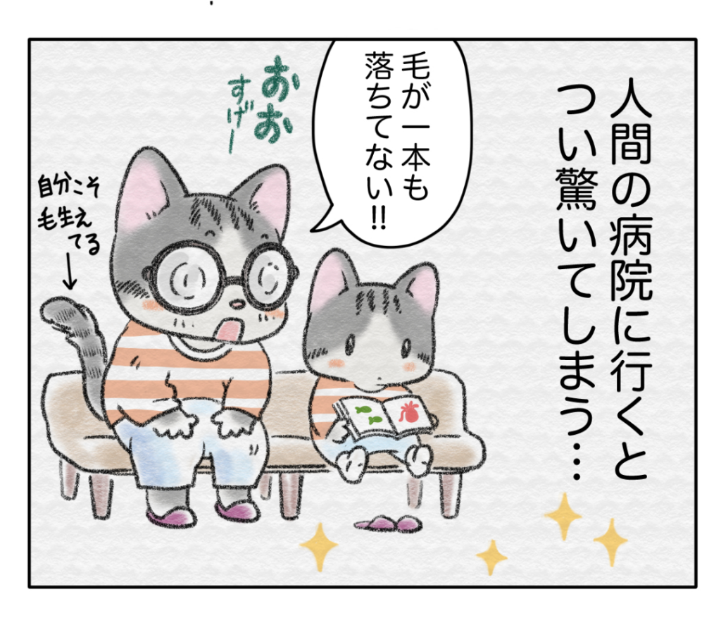 猫のキャラクター