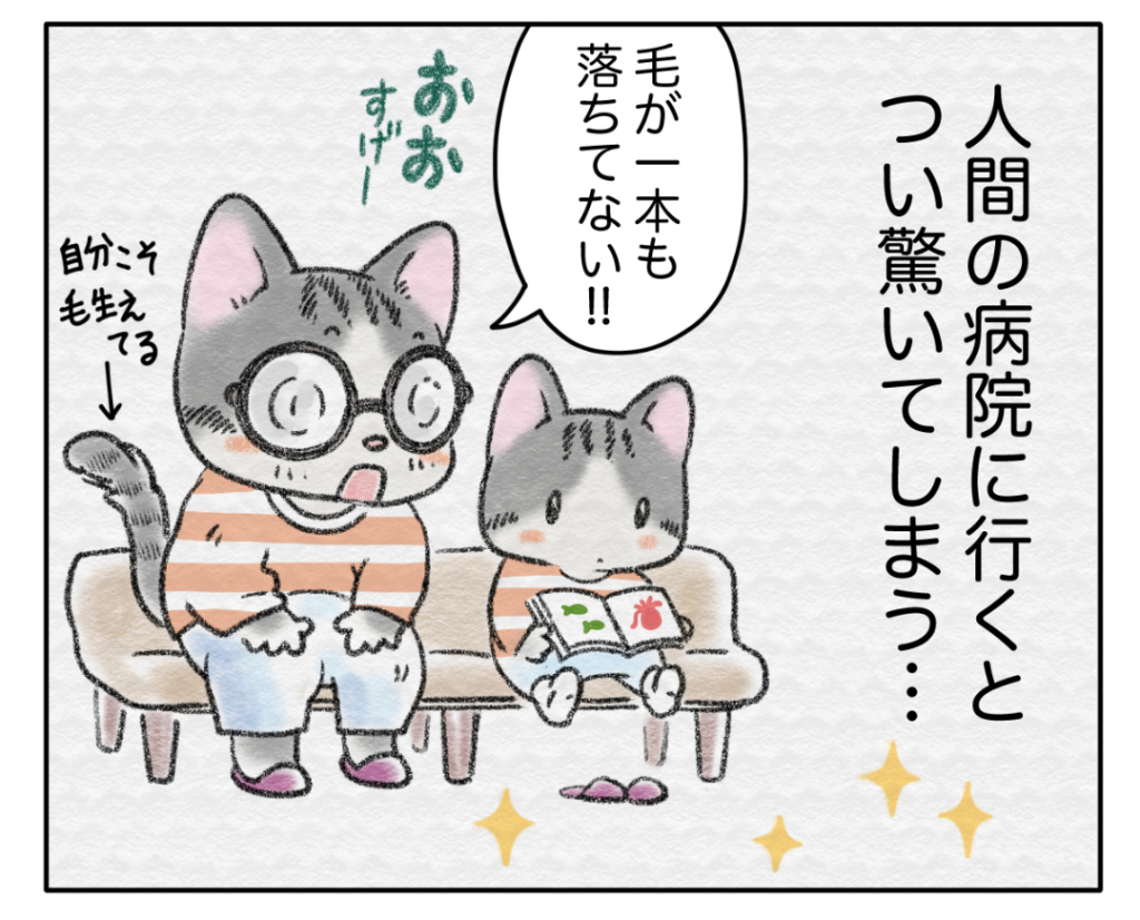 猫のキャラクター、４コマ漫画