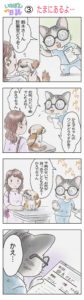猫の４コマ漫画