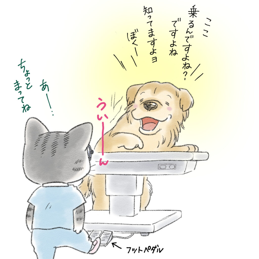 診察台に自分から乗る犬