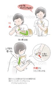 猫の保定