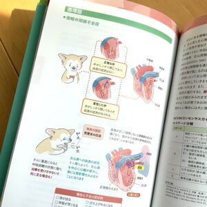 犬の心臓の解剖学イラストと心疾患の解説