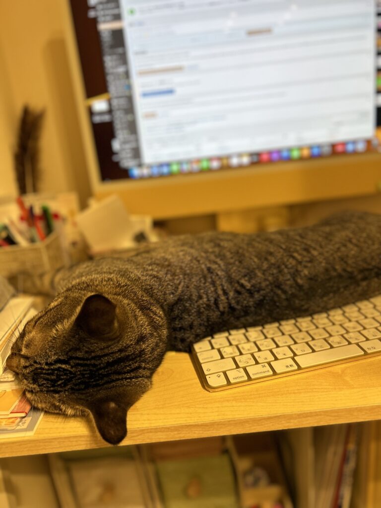 パソコンデスクに寝そべる猫