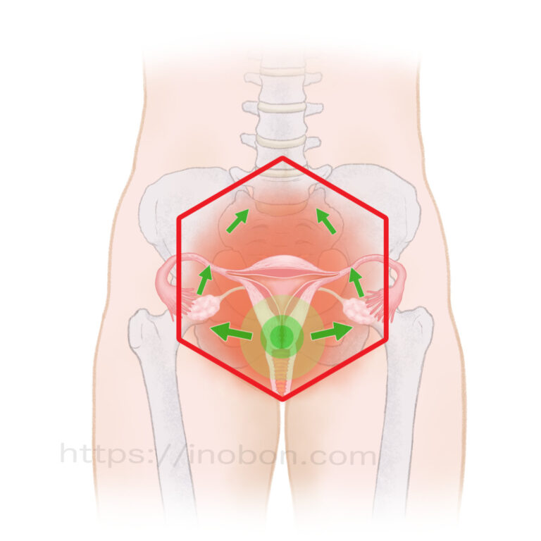 放射線治療、子宮と女性疾患について