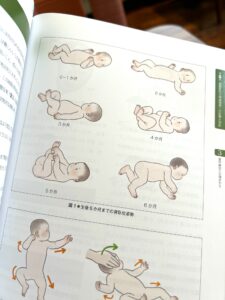 赤ちゃんの成長と月齢別の姿勢、運動についてのイラスト