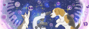 顕微鏡を覗く犬と楽しそうな猫のイラスト、深いブルーの星空を背景に