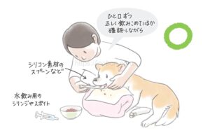 老犬の介護