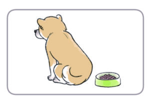 ごはんの皿に背を向けている犬、フードを 食べようとしない犬