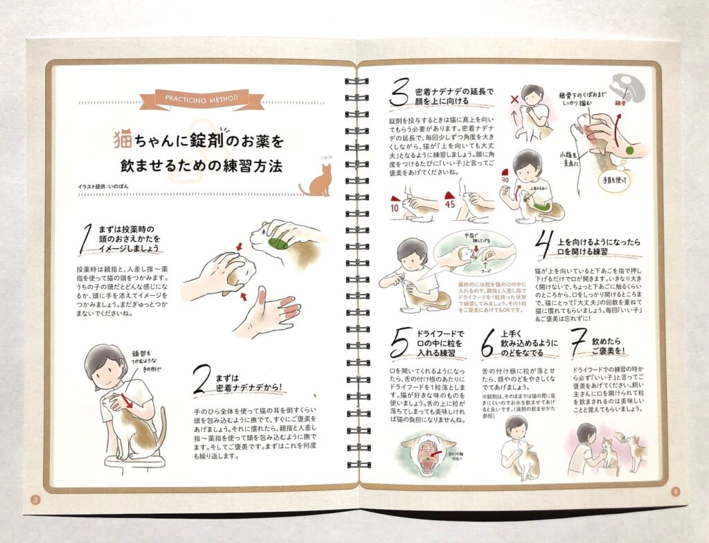猫の保定と薬の与えるときの方法