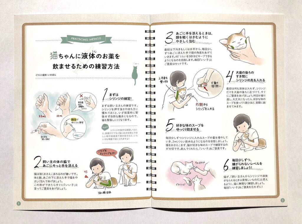 猫の保定、薬を与える練習