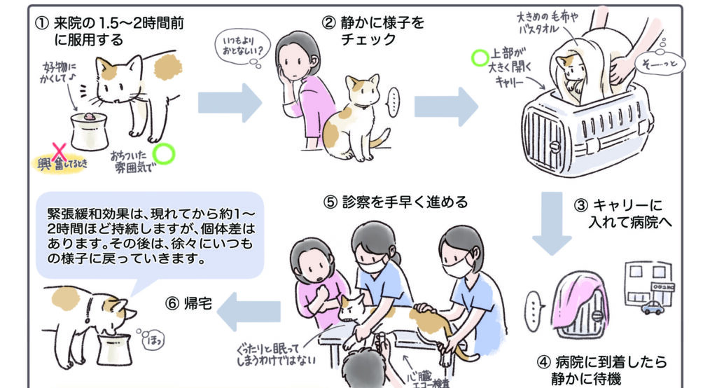 ガバペンチンを服用して動物病院の診察に行く様子