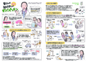 動物病院で緊張する猫と診察する獣医師