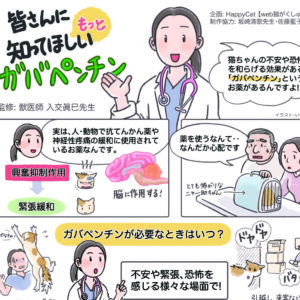 猫を動物病院に連れて行くときの注意