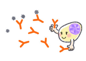 形質細胞をイメージしたキャラクター