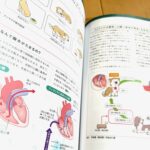 同部看護師のための犬糸状虫症の基礎知識