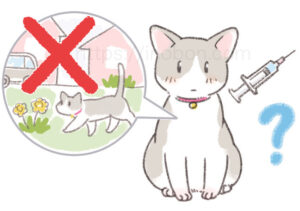 室内飼育の猫と予防ワクチン