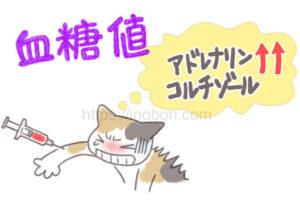 猫のストレスと血糖値の上昇