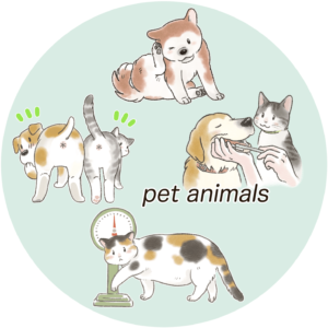 ペットの動物たち