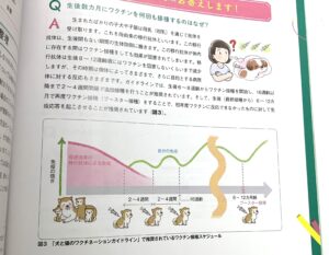 犬と猫のワクチン接種スケジュール