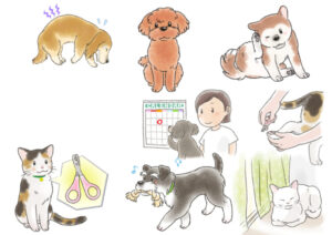 飼い主に健康管理された犬や猫