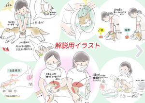 動物看護師