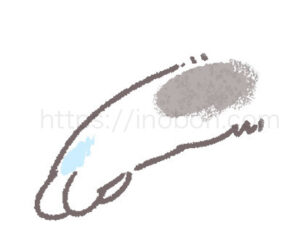 猫の前脚のイラスト