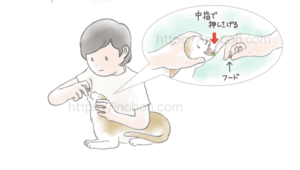 猫の口を開いて、飼い主が薬を飲ませている、やり方